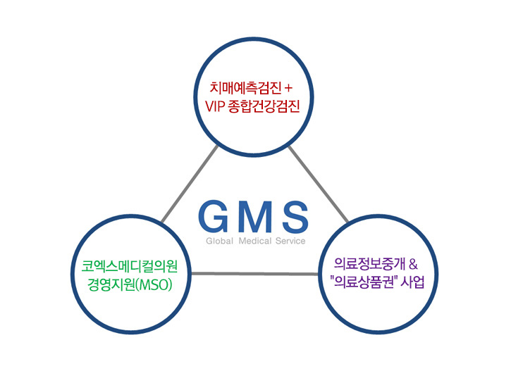 GMS 의료관광